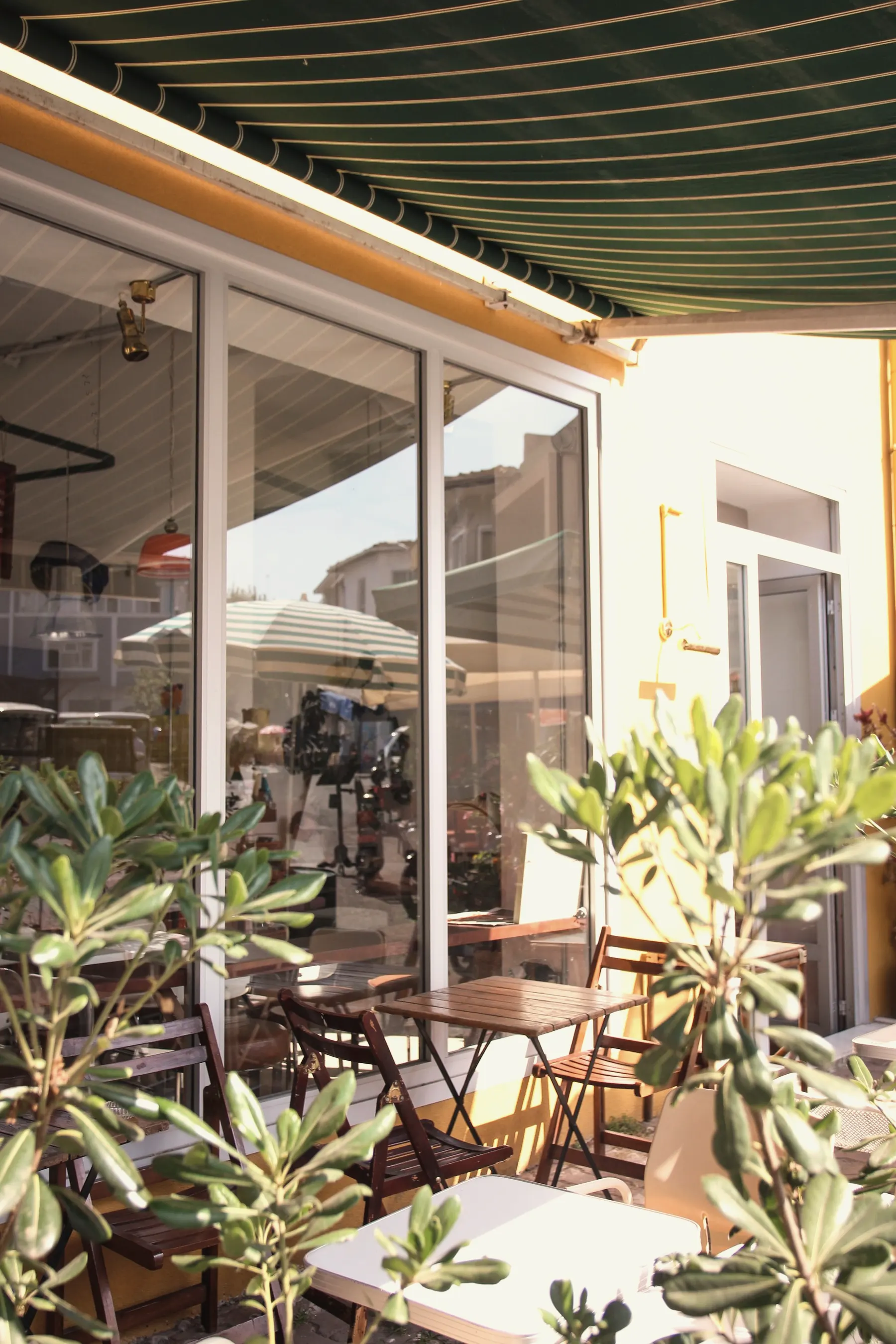 Terraza con toldo verde oliva y plantas